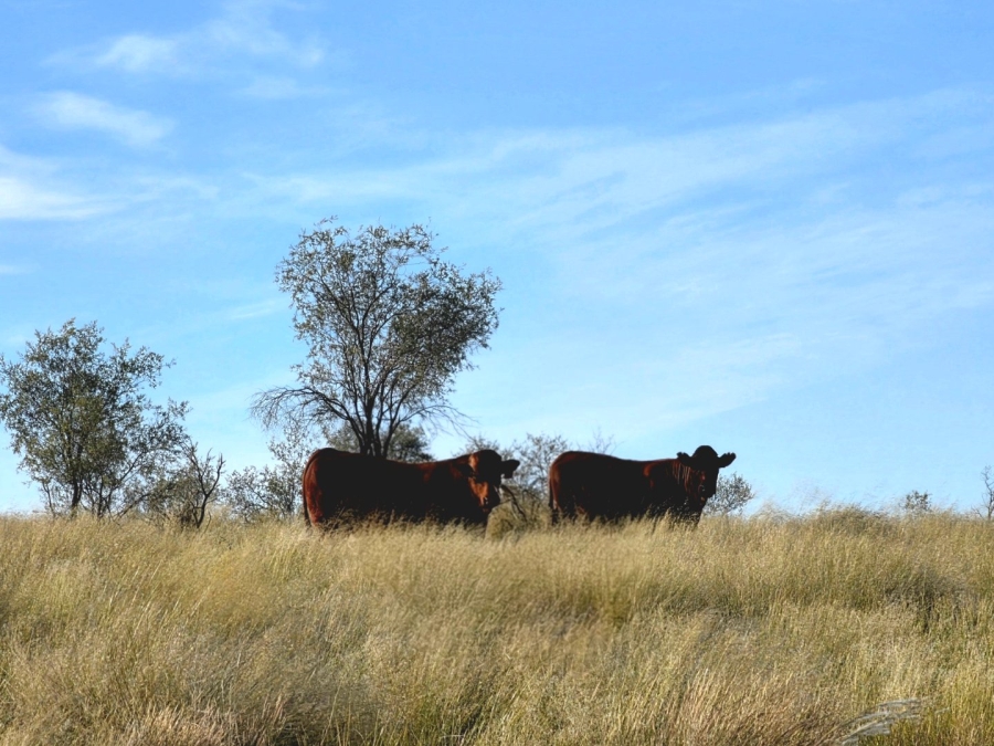 Commercial Property for Sale in Upington Rural Northern Cape